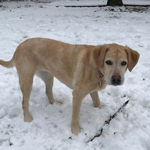 Meet your Posher, Jenny